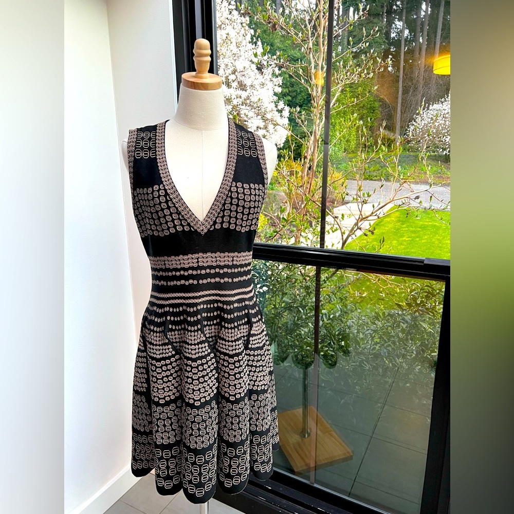 Alaia Sleeveless V-neck Above The Knee Fit and Flair Dress
